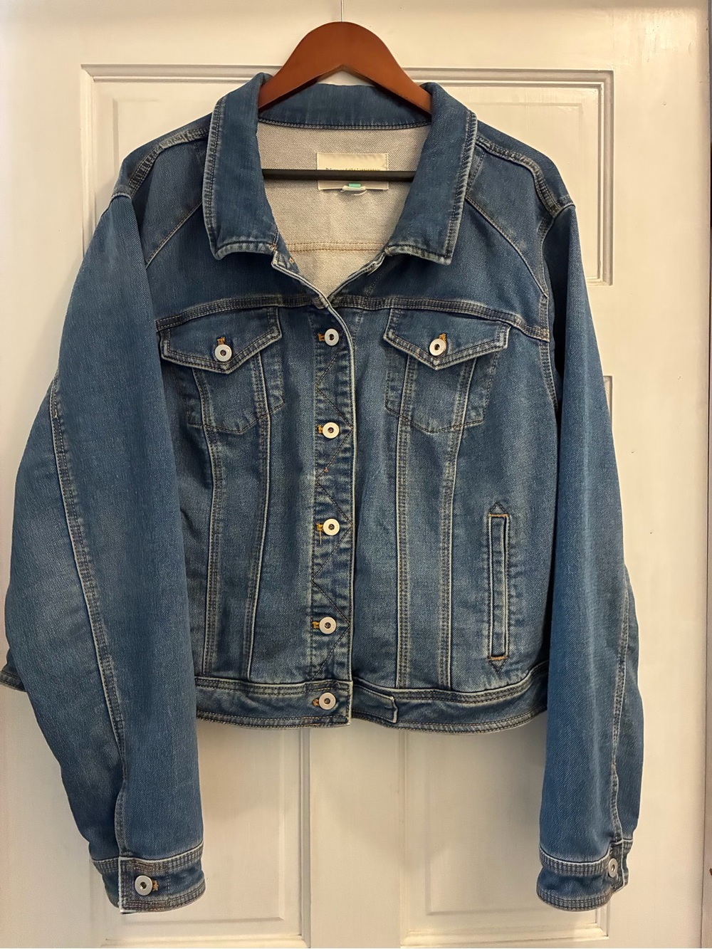Anthropologie Pilcro Classic Denim Jacket